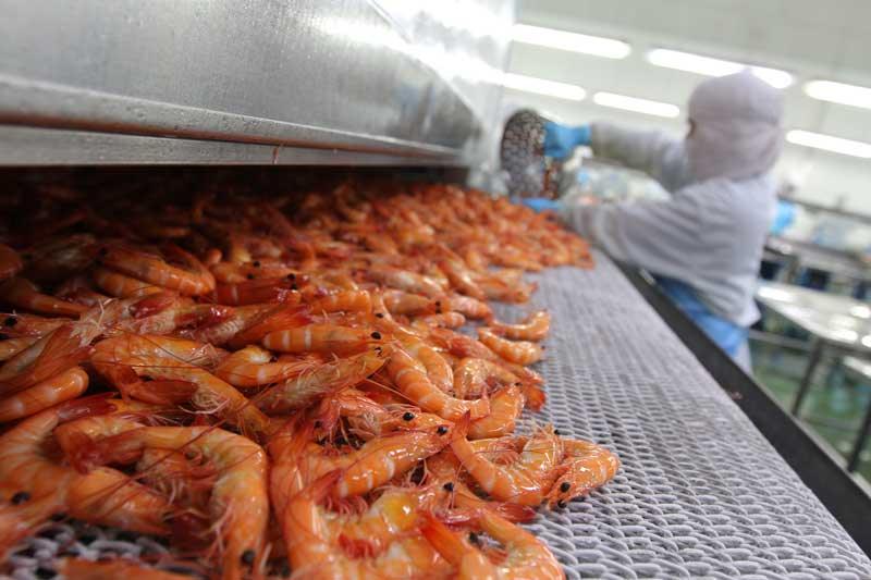 Processing Facilities