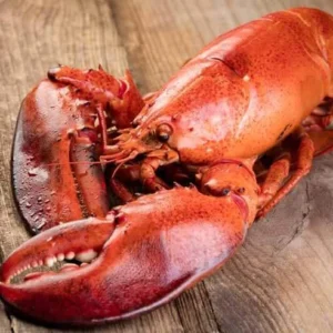 Steamed Lobsters
