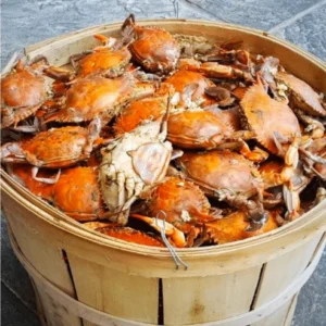 Standard Female Maryland Crabs