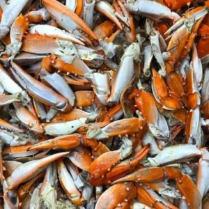 Maryland Blue Crab Claws